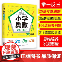 小学奥数学练一拖三.六年级举一反三典例精析+变式训练+专题专练思维培养发掘潜能名师25讲专题讲解、专练106道经典例31