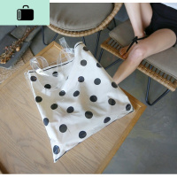 文艺包包女大2020新款波点透明帆布包女单肩包ins超火韩版手提包NEW LAKE女士单肩包