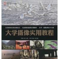 正版新书]大学摄像实用教程陈勤,沈潜 编9787115355829