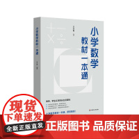 小学数学教材一本通 王永春 数学思想方法 小学数学学习方法 数学教学教参 华东师范大学出版社