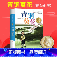 青铜葵花 [正版]青铜葵花草房子曹文轩原着完整版 四五六年级阅读课外书必读 曹文轩课外阅读书籍江苏少年儿童出版社儿童文学