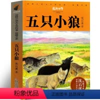 五只小狼 [正版]五只小狼 沈石溪动物小说精品集系列儿童文学小学生课外书长篇单本作品全集珍藏版品藏书系大王升级版三四五六