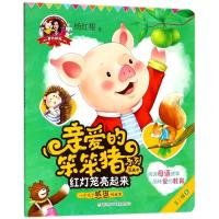 红灯笼亮起来/爱的教育.亲爱的笨笨猪系列图画书