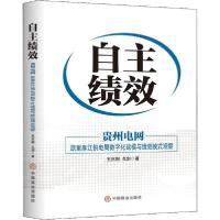 正版新书]自主绩效 贵州电网 凯里麻江供电局数字化建模与绩效模