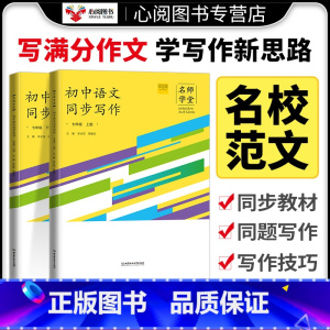 同步阅读 七年级下 [正版]名师学堂新版初中生语文同步作文写作阅读七年级上下册古诗文阶梯助学每日一文语文阅读理解与答题模