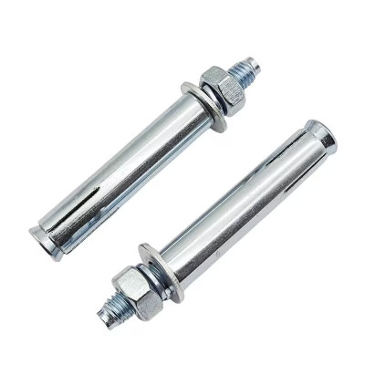 浪伍 膨胀螺丝4.8级 16*100mm /个