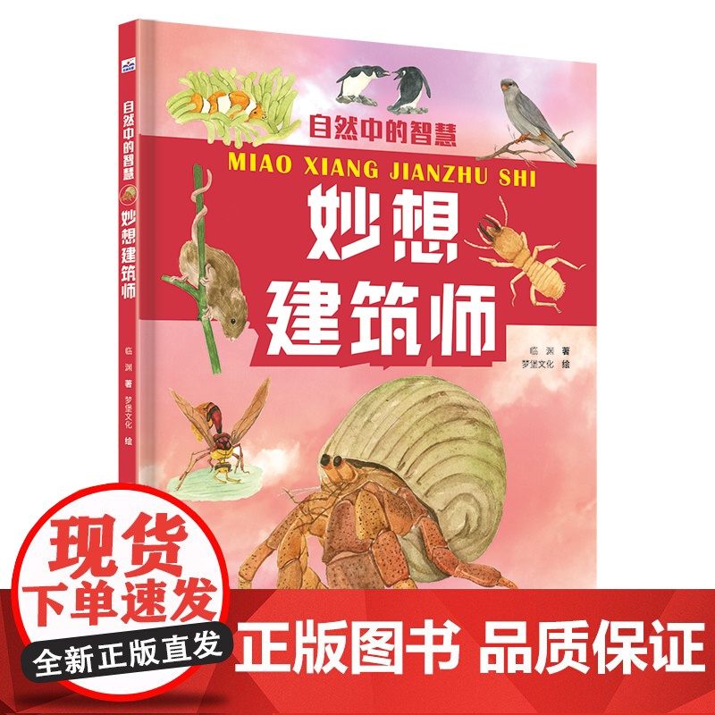 自然中的智慧—妙想建筑师