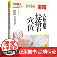 图解人体常见经络和穴位
