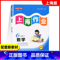 六年级下数学 [正版]钟书金牌 上海作业 六年级下 数学 6年级下册/第二学期 上海教辅同步辅导训练课后作业练习单元测试