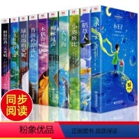 [正版]全10册 一年级二年级阅读课外书 小学生课外阅读书籍带拼音注音版 儿童童话故事书大全 1年级2年级名著课外读物
