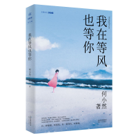 音像我在等风也等你何小然