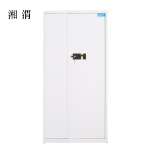 湘渭保险柜铁皮资料柜矮柜办公室储物柜通门白色指纹锁900*420*1850