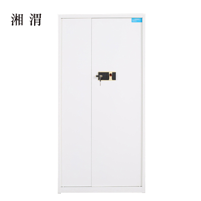 湘渭保险柜铁皮资料柜矮柜办公室储物柜通门白色指纹锁900*420*1850