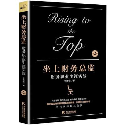 坐上财务总监:财务职业生涯实战(第二版)