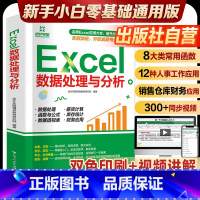 办公经典教程+Excel数据处理+Excel实操+高级应用 [正版]excel函数与公式应用大全 Excel数据处理与分
