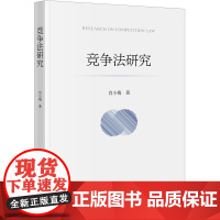 正版 竞争法研究 肖小梅 著 法律出版社