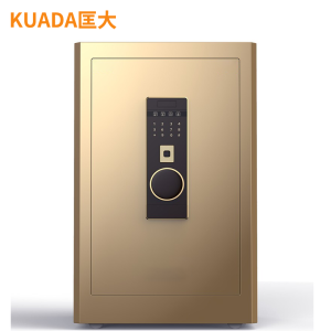 匡大 办公文件柜 保险柜 指纹+密码柜0.6米