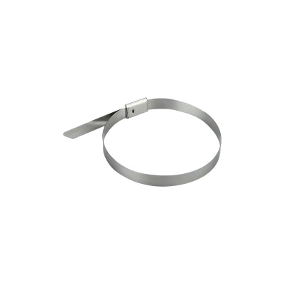 斯赞 304不锈钢扎带自锁式捆绑扎带 15*600mm 根