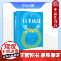 中法图正版 民事证据实务 思维实例技巧 杨中洁 法律出版社 民事案件诉讼策略证据举证质证意见 青年律师办理案件思维技巧法