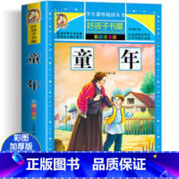 童年 [正版]四大名着小学生版注音版全套4册 西游记三国演义水浒传红楼梦原着儿童版带拼音青少年版小学生课外阅读书籍幼儿一