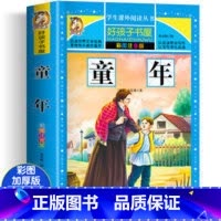 童年 [正版]四大名着小学生版注音版全套4册 西游记三国演义水浒传红楼梦原着儿童版带拼音青少年版小学生课外阅读书籍幼儿一