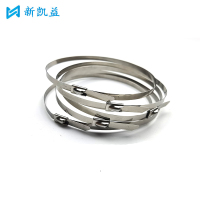 新凯益 304不锈钢自锁扎带 10*200mm 根