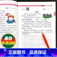 语文课外阅读 二升三 [正版]小学二2年级语文同步课外阅读理解强化训练小学生短文填空练习阅读理解专项训练书每日一练二升三
