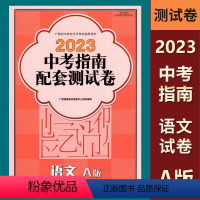 测试卷-语文A版 九年级 [正版]2023广西中考指南总复习配套测试卷语文A版 广西初中学业水平考试指导用书 中考专项分