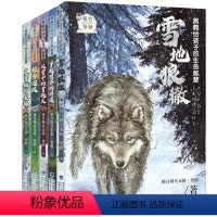 [全套5册]黑鹤给孩子的生命智慧 [正版]新版 黑鹤动物小说系列全套5册 黑鹤给孩子的生命智慧 雪地狼辙 故事书沈石溪福