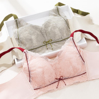 蕾丝新款撞色文胸无钢圈女士大码内衣女薄款收副乳大胸显小胸罩_1