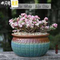 三维工匠多肉花盆大号陶瓷创意简约绿植复古粗陶陶罐植物组合盆栽透气 天蓝色经典236(有孔) 大花盆容器