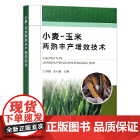小麦-玉米两熟丰产增效技术 王同朝,关小康 高产栽培 28387