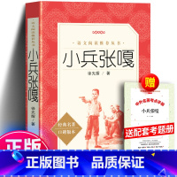 小兵张嘎+考题册 [正版]送考题册 小兵张嘎书 徐光耀 著 四年级五年级上册六年级必阅读的课外书老师阅读