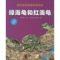 正版新书]绿海龟和红海龟绿子静|绘画:史衍成工作室978750278920