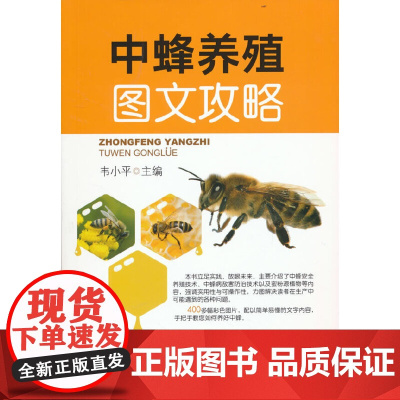 中蜂养殖图文攻略