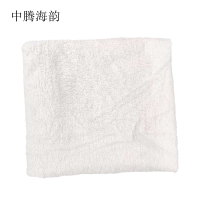 中腾海韵 擦车巾抹布纯棉白色 35*75 条