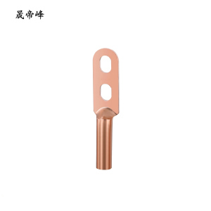 晟帝峰 双孔铜线鼻子 DTS-25 个