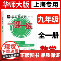 华师大一课一练数学9年级九年级上下全一册数学上海初中初三教辅教材配套课后同步辅导练习沪教版华东师范大学出版社