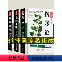 [正版]全套3册 伤寒论 金匮要略张仲景原著 伤寒杂病论 温病条辨 白话解中医入门 零基础学养生书籍大全辑义原著医学类