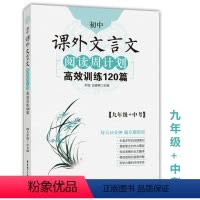 [正版]初中课外文言文阅读周计划高效训练120篇 九年级中考 初三9年级中考文言文 华东理工大学出版社 初中文言文古文
