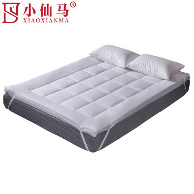 小仙马 保护垫 个