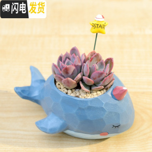 三维工匠zakka田园多肉花盆可爱卡通动物花盆鲸鱼花园派对创意小花盆套餐 鲸鱼蓝色+绮罗+星星 小花盆容器