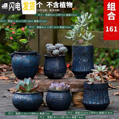 三维工匠多肉花盆大号老桩大口径老庄创意简约陶罐粗陶陶瓷小花盆 铁锈釉-07组合6个 中等花盆容器