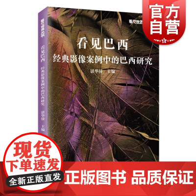 看见巴西 经典影像案例中的巴西研究看见世界丛书谌华侨编上海远东出版社城市史读城世界文化