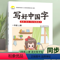 一年级上册 [正版]抖音同款写好中国字练字帖一年级下二年级三年级下册练字帖小学生同步课课练人教版语文练习册控笔训练正楷书