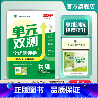 物理 九年级/初中三年级 [正版]2024年秋 初中单元双测九年级物理全一册人教版 9年级物理初三RJ版同步测试卷期中期