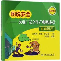 正版新书]火电厂安全生产典型违章(彩图版)(发电运行)孙海峰