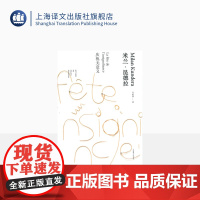 庆祝无意义(米兰昆德拉作品全新系列) [法] 米兰昆德拉 著 马振骋 译 上海译文出版社 正版