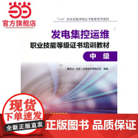 1+X”职业技能等级证书配套系列教材 发电集控运维职业技能等级证书培训教材(中级)