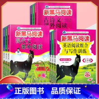 现代文阅读 七年级/初中一年级 [正版]2024新版新黑马阅读 现代文课外阅读 初中七7八8九9年级上下册通用 初中语文